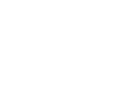 Twinsaver